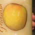 Real Cider Recensies Beste van 2022